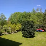 Drzymaly