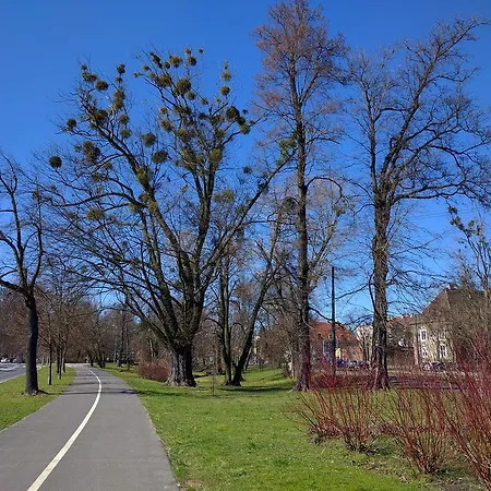 Drzymaly Auberge de jeunesse