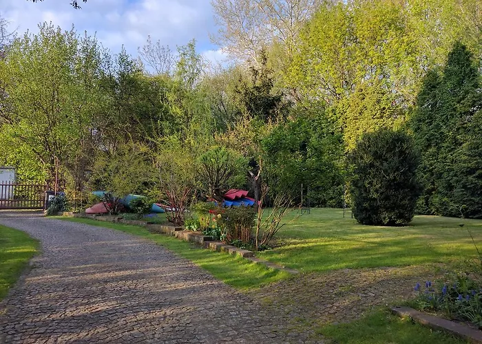 Drzymaly بيت شباب